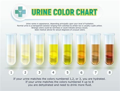 ebony piss|Urine Color Chart: What’s Normal and When to See a Doctor.